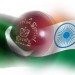 PAKISTAN-VS-INDIA-T20-2012